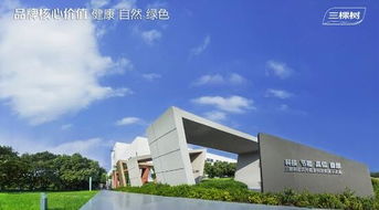 天彩石销售额破亿 三棵树水包水涂料引领行业新标准