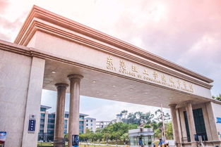 东莞理工城院 广东科技学院等2020年本科插班生招生计划出炉
